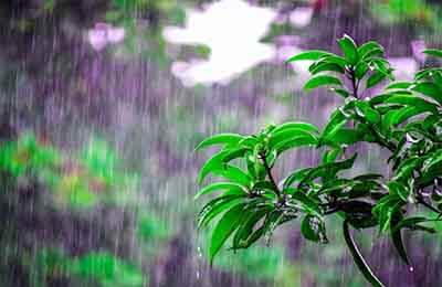 氣象防臺(tái)防汛工作總結(jié)