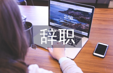 軟件工程師辭職申請書