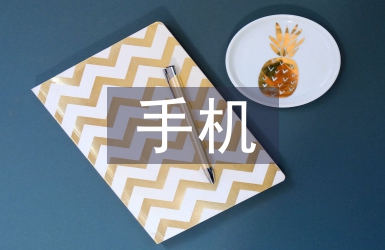 手機調(diào)查報告