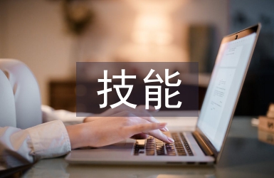 技能人才工作計(jì)劃