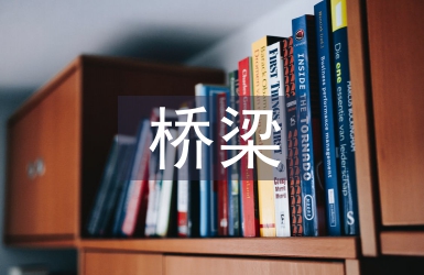 橋梁改建施工技術(shù)探析