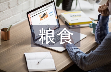 糧食產(chǎn)業(yè)發(fā)展方向