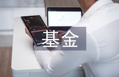 基金監(jiān)管的原則