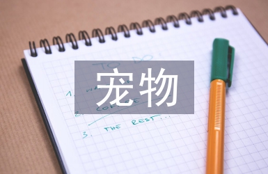 寵物助理總結(jié)