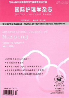 國際護理學期刊