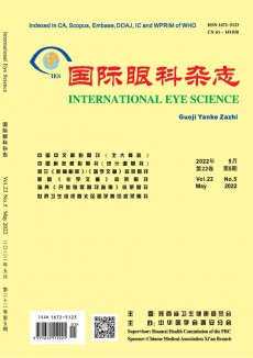 國際眼科期刊