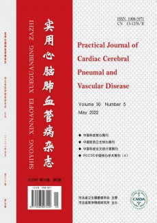 實用心腦肺血管病期刊