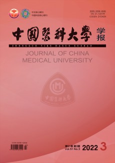 中國醫(yī)科大學學報期刊