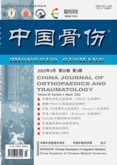 中國骨傷期刊