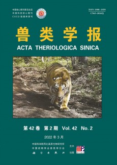 獸類學(xué)報(bào)期刊