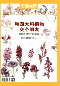 中國三峽期刊