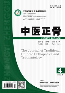 中醫(yī)正骨期刊