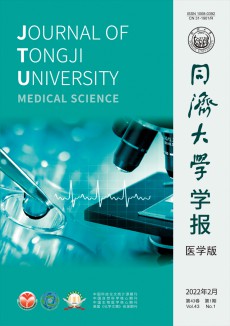 同濟大學(xué)學(xué)報·自然科學(xué)版期刊