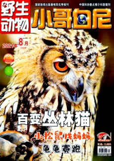 小哥白尼·野生動物畫報