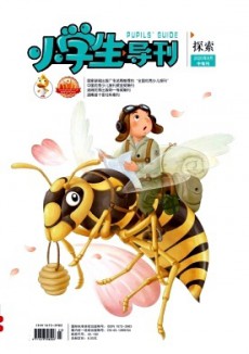 小學(xué)生導(dǎo)刊·中年級(jí)