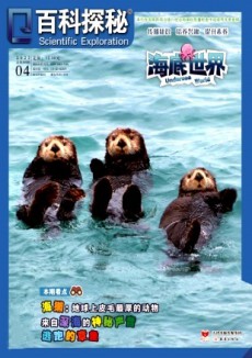 百科探秘·海底世界